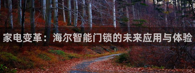 开丰娱乐下载安装：家电变革：海尔智能门锁的未来应用与体验