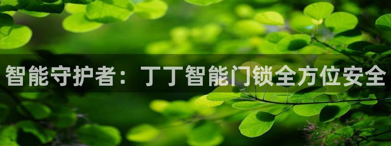 开丰娱乐更多平台：智能守护者：丁丁智能门锁全方位安全