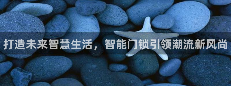 开丰娱乐寸六七五一38：打造未来智慧生活，智能门锁引领潮流新