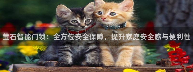 开丰娱乐优七九九47：萤石智能门锁：全方位安全保障，提升家庭