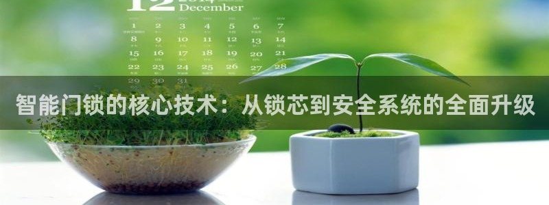 开丰娱乐平台：智能门锁的核心技术：从锁芯到安全系统的全面升级