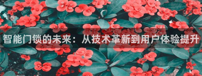 开丰娱乐日7O667：智能门锁的未来：从技术革新到用户体验提