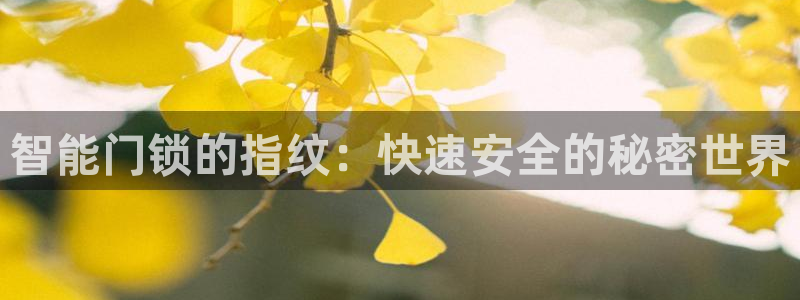 开丰娱乐与六七五一38：智能门锁的指纹：快速安全的秘密世界