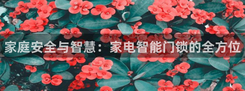 开丰娱乐官网登录平台：家庭安全与智慧：家电智能门锁的全方位