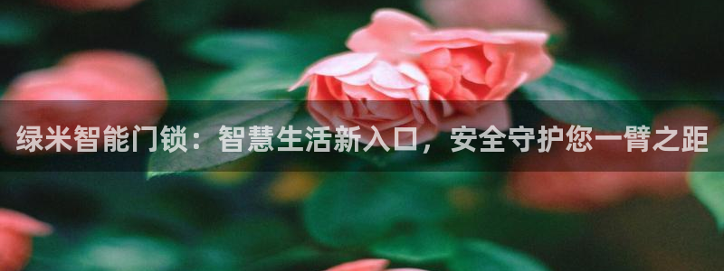 开丰娱乐怎么样：绿米智能门锁：智慧生活新入口，安全守护您一臂