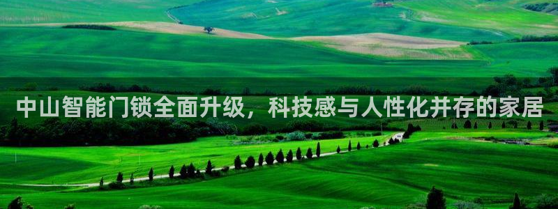 开丰娱乐下7O667：中山智能门锁全面升级，科技感与人性化并