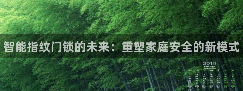 开丰娱乐月：智能指纹门锁的未来：重塑家庭安全的新模式