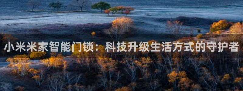 开丰娱乐天：小米米家智能门锁：科技升级生活方式的守护者
