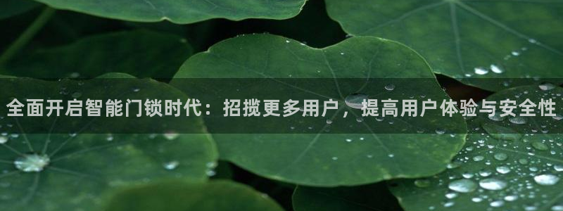 如何注册开丰娱乐账号：全面开启智能门锁时代：招揽更多用户，提