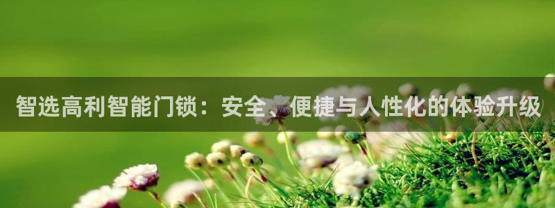 开丰娱乐登录平台下载：智选高利智能门锁：安全、便捷与人性化的