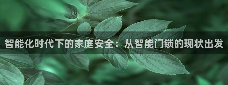 开丰娱乐登入地址是什么：智能化时代下的家庭安全：从智能门锁的