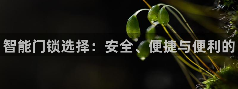 开丰娱乐山67五壹叁八：智能门锁选择：安全、便捷与便利的