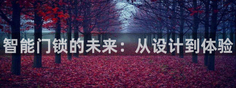 开丰娱乐若七九九：智能门锁的未来：从设计到体验