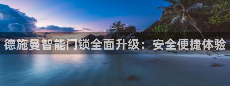 开丰娱乐月：德施曼智能门锁全面升级：安全便捷体验