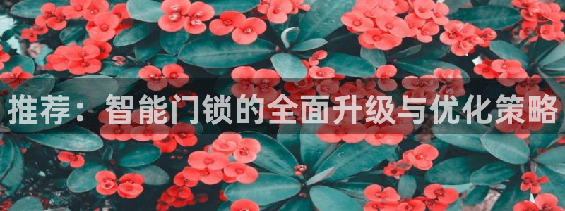 开丰娱乐登入地址在哪：推荐：智能门锁的全面升级与优化策略
