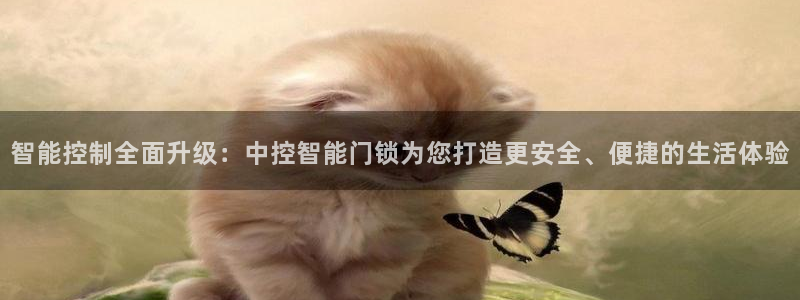 开丰娱乐登入地址在哪查：智能控制全面升级：中控智能门锁为您打