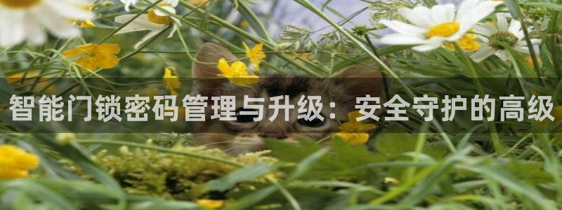 开丰娱乐主管：智能门锁密码管理与升级：安全守护的高级