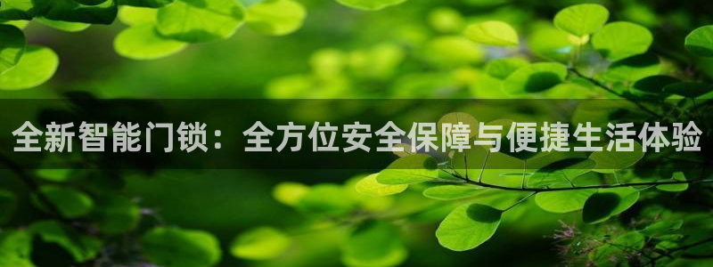 开丰娱乐予 7O935：全新智能门锁：全方位安全保障与便捷生