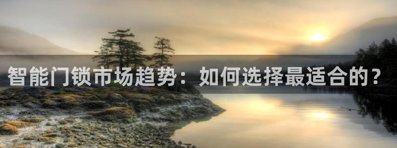 开丰娱乐注册登录不了：智能门锁市场趋势：如何选择最适合的？