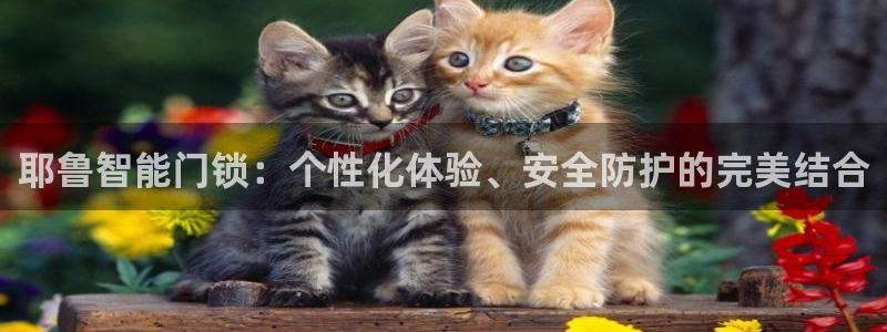 开丰娱乐登入地址在哪里：耶鲁智能门锁：个性化体验、安全防护的