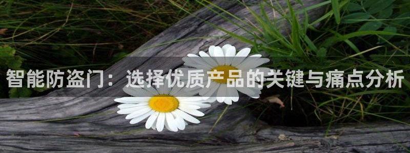 开丰娱乐天富娱乐：智能防盗门：选择优质产品的关键与痛点分析