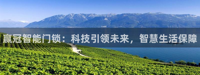 开丰娱乐地址：赢冠智能门锁：科技引领未来，智慧生活保障