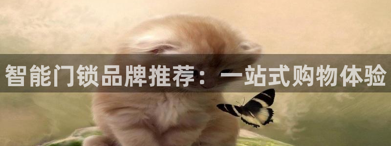 开丰娱乐乙833_43：智能门锁品牌推荐：一站式购物体验