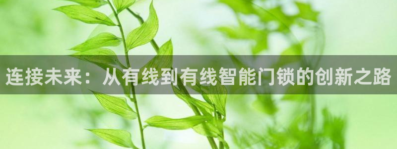 开丰娱乐新登录平台：连接未来：从有线到有线智能门锁的创新之路