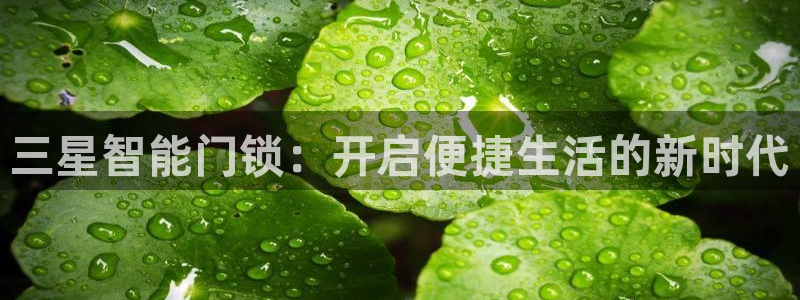 开丰娱乐登入：三星智能门锁：开启便捷生活的新时代