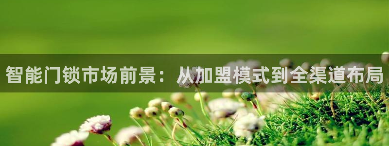 开丰娱乐官网招聘：智能门锁市场前景：从加盟模式到全渠道布局
