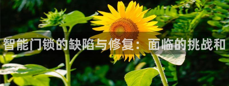 开丰娱乐寸67五壹叁八：智能门锁的缺陷与修复：面临的挑战和