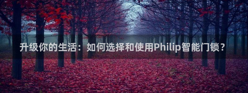 开丰娱乐联系q徽22212：升级你的生活：如何选择和使用Ph