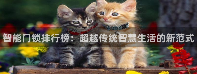 开丰娱乐上7O667：智能门锁排行榜：超越传统智慧生活的新范