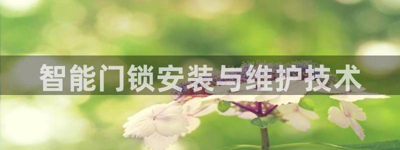 开丰娱乐与六七五一38：智能门锁安装与维护技术