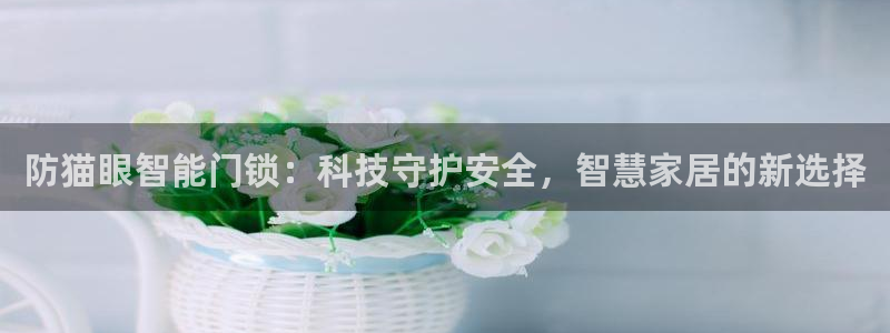 开丰娱乐官方app：防猫眼智能门锁：科技守护安全，智慧家居的