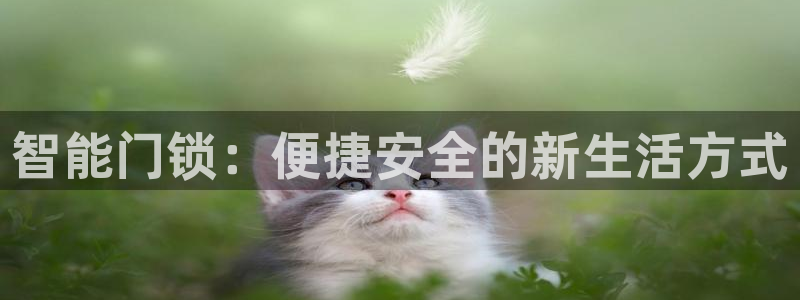 开丰娱乐注册电7O777：智能门锁：便捷安全的新生活方式