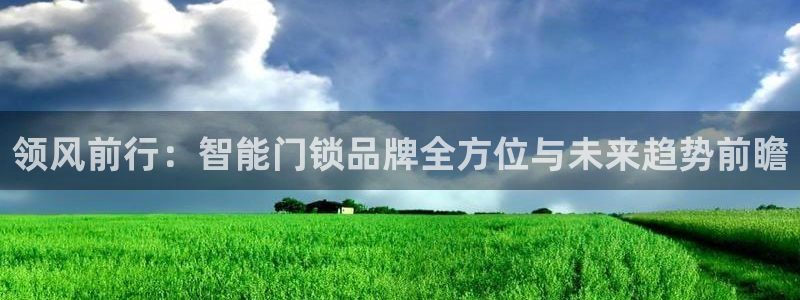 开丰娱乐登录注册：领风前行：智能门锁品牌全方位与未来趋势前瞻