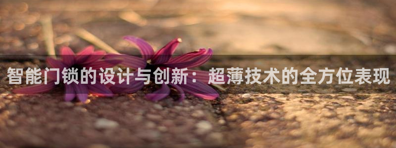 开丰娱乐2登录：智能门锁的设计与创新：超薄技术的全方位表现