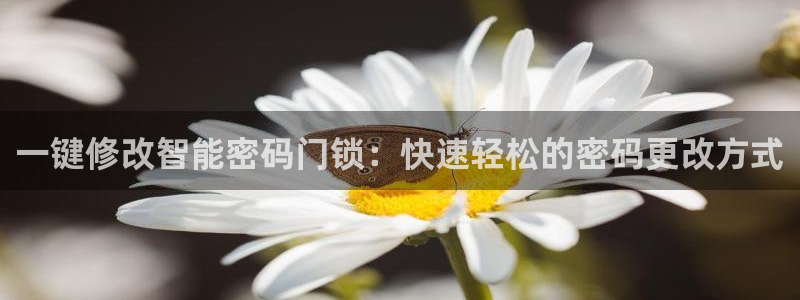 开丰娱乐注册自判官333OO：一键修改智能密码门锁：快速轻松