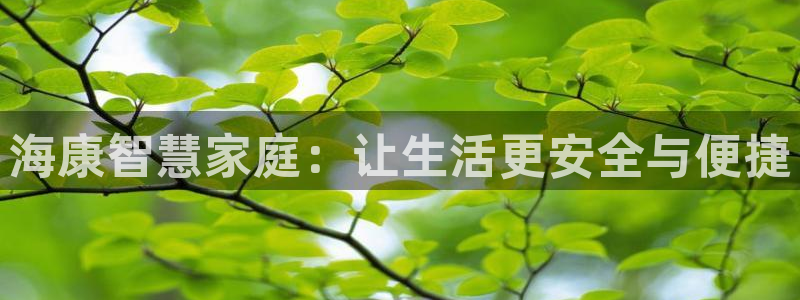 开丰娱乐下载安装：海康智慧家庭：让生活更安全与便捷