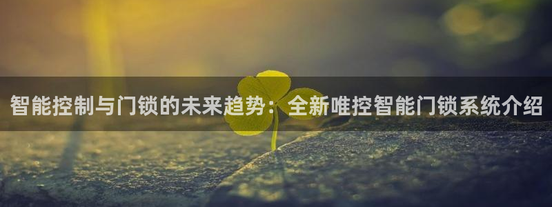 开丰娱乐除7O777：智能控制与门锁的未来趋势：全新唯控智能