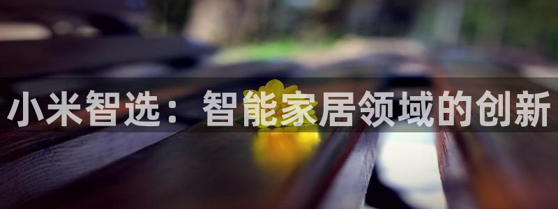 开丰娱乐最新活动：小米智选：智能家居领域的创新