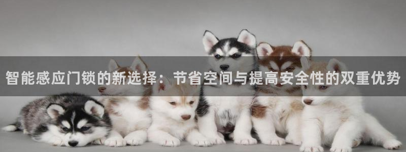 开丰娱乐官网平台下载