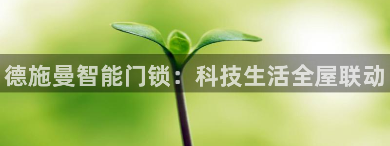 开丰娱乐手机app：德施曼智能门锁：科技生活全屋联动