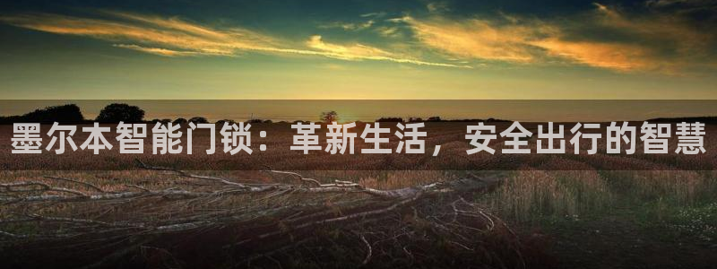 开丰娱乐网址：墨尔本智能门锁：革新生活，安全出行的智慧