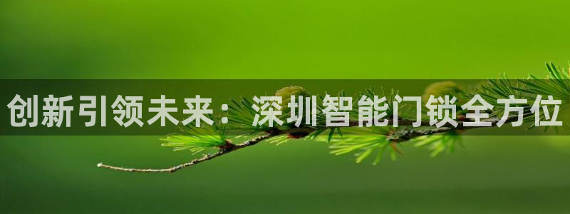 开丰娱乐下7O667：创新引领未来：深圳智能门锁全方位