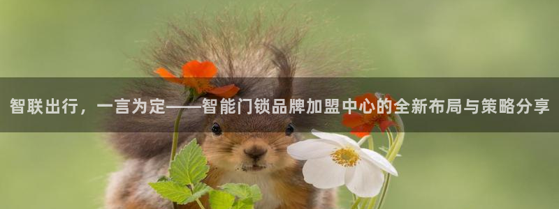 开丰娱乐除7O777：智联出行，一言为定——智能门锁品牌加盟