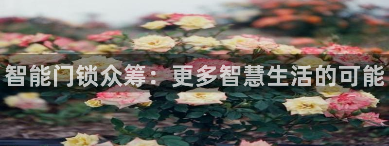 开丰娱乐67 5138：智能门锁众筹：更多智慧生活的可能