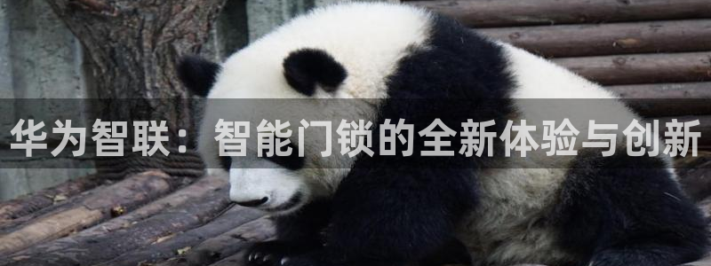 开丰娱乐登录平台：华为智联：智能门锁的全新体验与创新