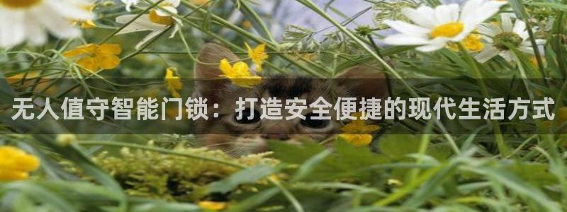 开丰娱乐下7O667：无人值守智能门锁：打造安全便捷的现代生